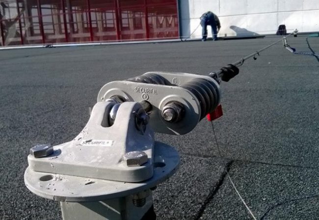 photo_236127496511175
