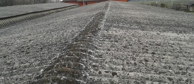 photo_297232393734018